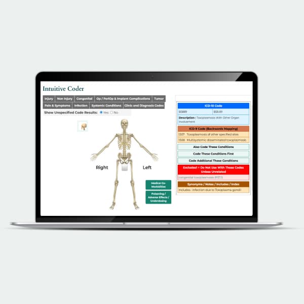 Codify Intuitive Coder for Orthopedics