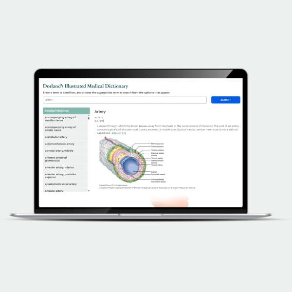 Codify Dorlands Medical Dictionary